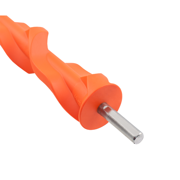 Orange Fox sneeuwboren